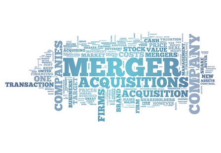 Mergers and Acquisitions Committee Charter